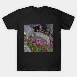 USA. Alaska. Fireweeds among Rocks. T-Shirt